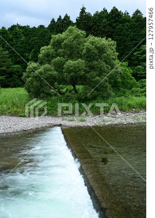 清流黒川にある公園の風景 127957466