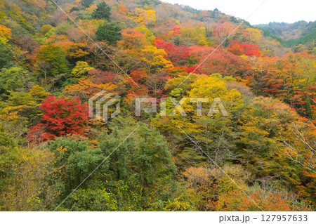 五家荘の紅葉 五家荘の紅葉 127957633