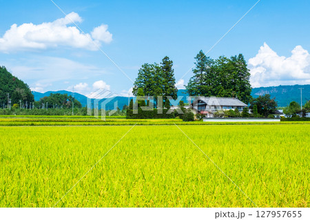 夏の田舎風景 127957655