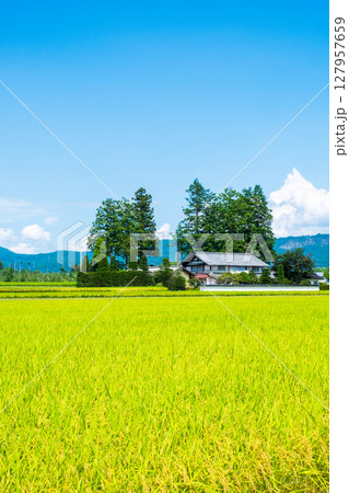 夏の田舎風景 127957659