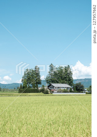 夏の田舎風景 127957662