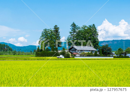 夏の田舎風景 127957675