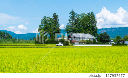夏の田舎風景 127957677