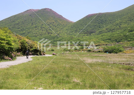 坊がつるから望むミヤマキリシマでピンク色に染まった平治岳と初夏の自然風景 127957718