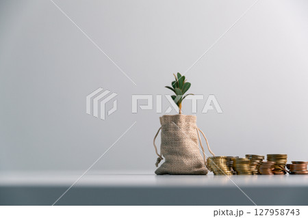 Business concept growth involves strategic financial management money loan investment bank real estate economic development encourage save buy home car education income stack investment economy return Business concept growth involves strategic financial management money loan investment bank real estate economic development encourage save buy home car education income stack investment economy return 127958743