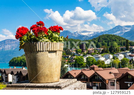 Vibrant red blooming geranium flowers in decorative flower pot on a background of the Swiss Alps Vibrant red blooming geranium flowers in decorative flower pot on a background of the Swiss Alps 127959125