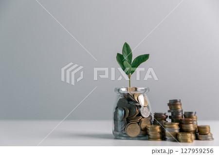 Business concept growth involves strategic financial management money loan investment bank real estate economic development encourage save buy home car education income stack investment economy return 127959256