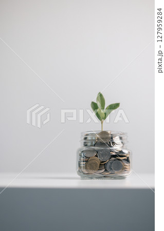 Business concept growth involves strategic financial management money loan investment bank real estate economic development encourage save buy home car education income stack investment economy return 127959284