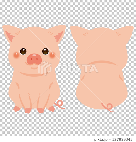 Sitting pig front and back illustration set 127959343