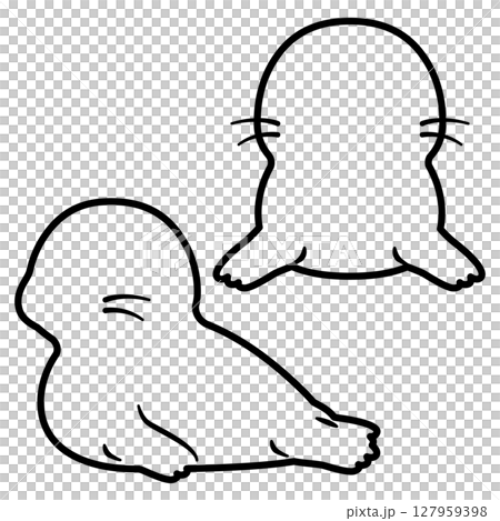 アザラシの線画セット 127959398