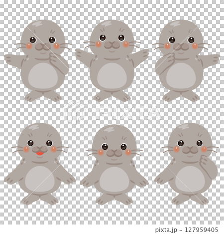 指さしをするアザラシのキャラクターイラストセット 127959405