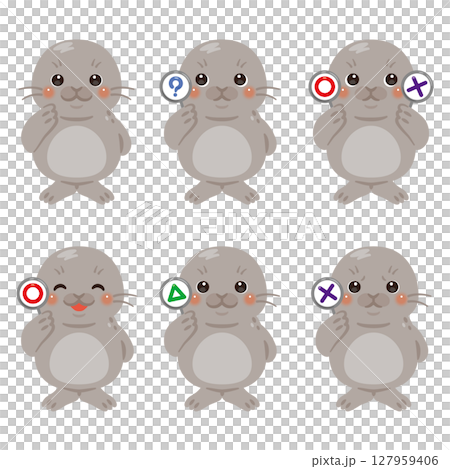 Set of seal character illustrations holding circle, square and triangle cards 127959406