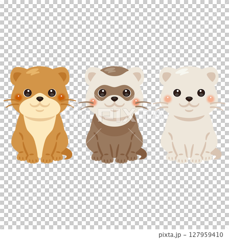 イタチ科の動物イラストセット イタチ科の動物イラストセット 127959410