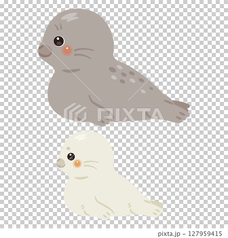 母海豹和小海豹的側面插圖 127959415