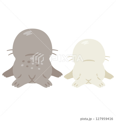 アザラシ親子の背後イラストセット アザラシ親子の背後イラストセット 127959416