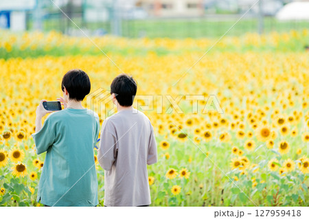 <安曇野>新村ひまわり畑を楽しむファミリー <安曇野>新村ひまわり畑を楽しむファミリー 127959418