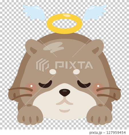 一隻死去的水獺的插圖 127959454