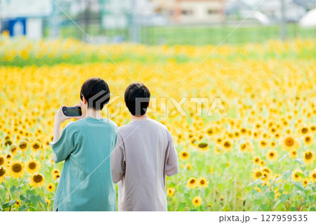 <安曇野>新村ひまわり畑を楽しむカップル 127959535