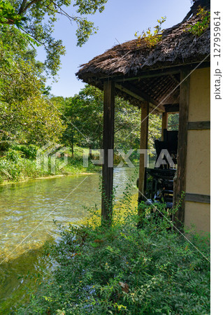 ＜安曇野＞大王わさび農場の水車と美しい小川の絶景 127959614