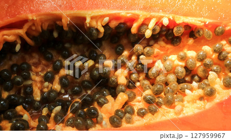 The texture of papaya seeds and flesh. Summer fruit concept 127959967