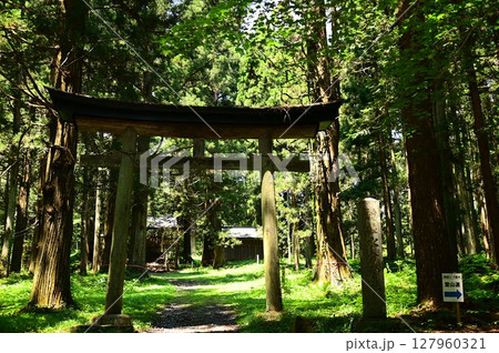 水分神社のスギ群 水分神社のスギ群 127960321