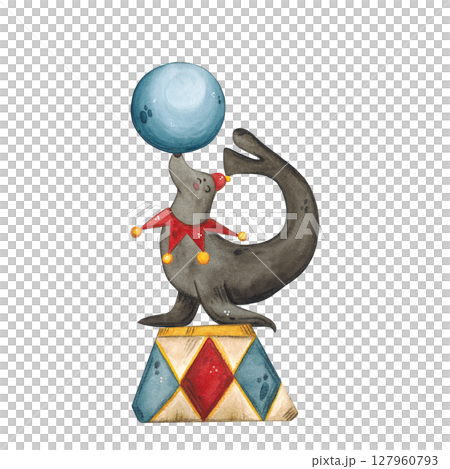 A watercolor illustration of a circus fur seal in a red cap holding a blue ball on his nose 127960793