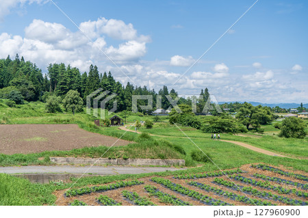 青空と緑に映える安曇野の風景 青空と緑に映える安曇野の風景 127960900