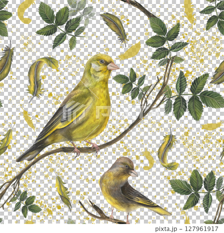 Seamless pattern of watercolor illustrations greenfinch birds, feathers, rosehip leaves and watercolor splash on white background hand drawn. Seamless pattern for fabric, textile, prints, design  127961917