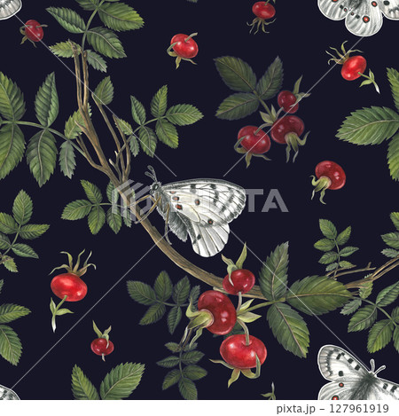 White butterfly apollo and red berries rose hips on dark background handdrawn. Seamless pattern from watercolor illustrations for fabric, textile, prints, posters, design.  127961919