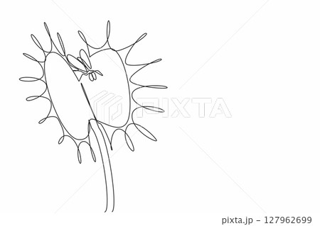 Continuous one line drawing flies are in venus flytrap. Insectivorous plants. Symbiosis of world life. Beneficial to humans. World Carnivorous Plant Day. Single line draw design vector illustration 127962699