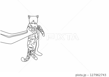 Single one line drawing tabby cat carried by 2 hands. Play with the favorite cat. Thick and smooth hair. Friendship. Domestic. Cute. National Tabby Day. Continuous line design graphic illustration Single one line drawing tabby cat carried by 2 hands. Play with the favorite cat. Thick and smooth hair. Friendship. Domestic. Cute. National Tabby Day. Continuous line design graphic illustration 127962743