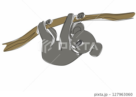 Single continuous line drawing koala hanging upside down from a tree branch. Adorable behavior accompanied by thick hair. Marsupial. International Wild Koala Day. One line design vector illustration 127963060