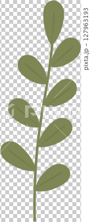 Plant flowers and leaves 127963193