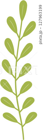 Plant flowers and leaves 127963199