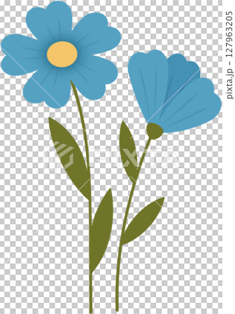 Plant flowers and leaves 127963205