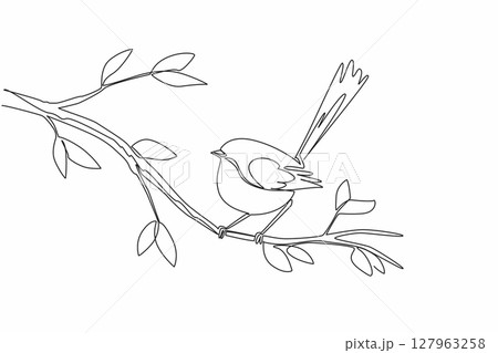 Continuous one line drawing fairy wren perched on a tree branch with leaves. Singing with secret password for future child. International Dawn Chorus Day. Single line draw design vector illustration Continuous one line drawing fairy wren perched on a tree branch with leaves. Singing with secret password for future child. International Dawn Chorus Day. Single line draw design vector illustration 127963258