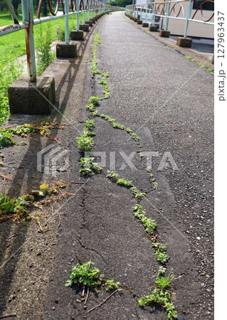 盛岡駅近郊の中津川と歩行者道と御厩橋など周辺の景色 127963437