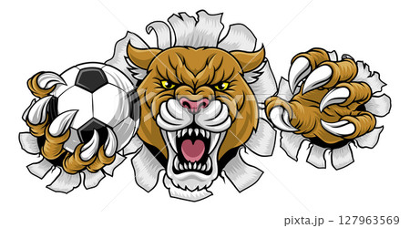 Cougar Panther Mountain Lion Puma Soccer Mascot 127963569