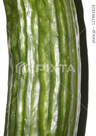 Close up of home grown cucumber vegetable skin green on white background Close up of home grown cucumber vegetable skin green on white background 127963824