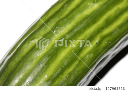Close up of home grown cucumber vegetable skin green on white background Close up of home grown cucumber vegetable skin green on white background 127963828