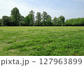 つくば市科学万博記念公園の芝生広場の風景 127963899