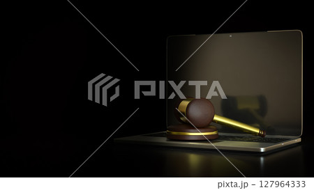 The Hammer Law on Laptop for Technology concept 3d Rendering. The Hammer Law on Laptop for Technology concept 3d Rendering. 127964333