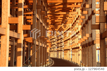 世界最大の木造建築物大阪関西万博の大屋根リング 世界最大の木造建築物大阪関西万博の大屋根リング 127964540