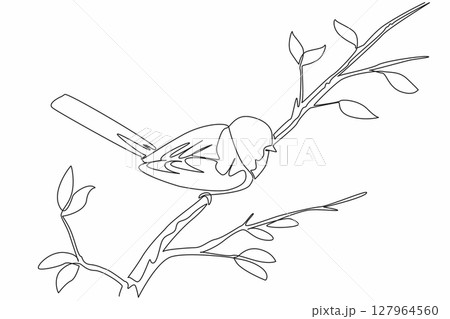 Continuous one line drawing long tailed tit perched on a tree branch. The smallest and cutest bird in Europe. The songbird. International Dawn Chorus Day. Single line draw design vector illustration Continuous one line drawing long tailed tit perched on a tree branch. The smallest and cutest bird in Europe. The songbird. International Dawn Chorus Day. Single line draw design vector illustration 127964560