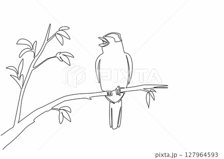 Continuous one line drawing blackcap bird perched on tree branch with leaves. Cold weather resistant birds. The songbird. International Dawn Chorus Day. Single line draw design vector illustration Continuous one line drawing blackcap bird perched on tree branch with leaves. Cold weather resistant birds. The songbird. International Dawn Chorus Day. Single line draw design vector illustration 127964593