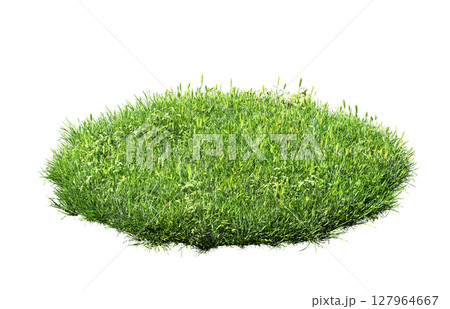 green grass turf isolated on white background green grass turf isolated on white background 127964667