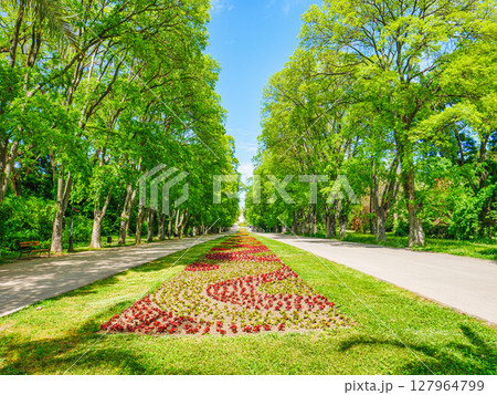 city park in Varna at sunrise morning 127964799