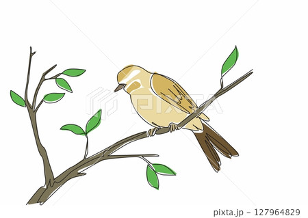 Single continuous line drawing willow warblers perched on tree branches. The inconspicuous chirp. Sweet chirps in garden. Songbird. International Dawn Chorus Day. One line design vector illustration Single continuous line drawing willow warblers perched on tree branches. The inconspicuous chirp. Sweet chirps in garden. Songbird. International Dawn Chorus Day. One line design vector illustration 127964829