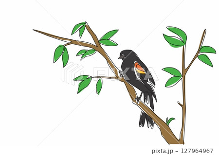 Single continuous line drawing red winged blackbird perched on a tree branch with leaves. Beautiful hairy. Bright morning atmosphere. International Dawn Chorus Day. One line design vector illustration 127964967