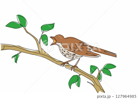 Continuous one line drawing song thrush perched on a tree branch with leaves. The morning sun warms. The melodious chirping. International Dawn Chorus Day. Single line draw design vector illustration Continuous one line drawing song thrush perched on a tree branch with leaves. The morning sun warms. The melodious chirping. International Dawn Chorus Day. Single line draw design vector illustration 127964985